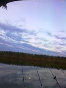 Doar ... NATURA - 3